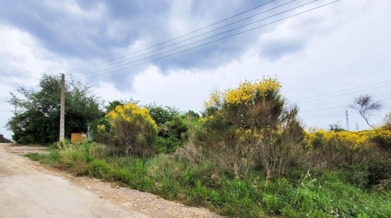 Barcelona - Castellbisbal - 10735m2