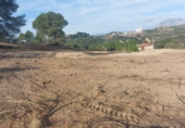 Non-developable land for sale on España, Castellbisbal, ref: TR124863 photo