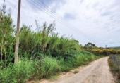 Non-developable land for sale on España, Castellbisbal, ref: TR124863 photo