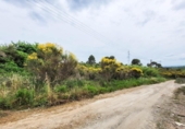 Non-developable land for sale on España, Castellbisbal, ref: TR124863 photo
