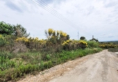 Non-developable land for sale on España, Castellbisbal, ref: TR124863 photo