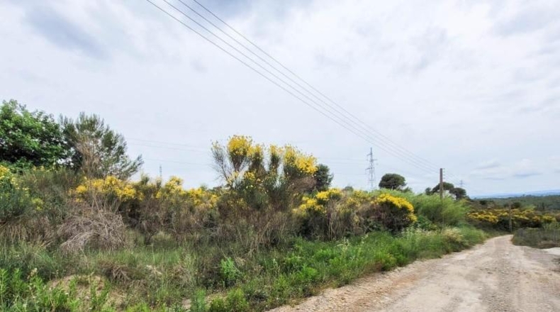 Barcelona - Castellbisbal - 10735m2