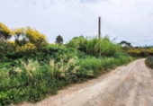 Non-developable land for sale on España, Castellbisbal, ref: TR124863 photo
