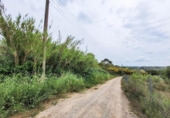Non-developable land for sale on España, Castellbisbal, ref: TR124863 photo