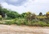 Non-developable land for sale on España, Castellbisbal, ref: TR124863 photo