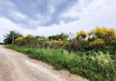 Non-developable land for sale on España, Castellbisbal, ref: TR124863 photo