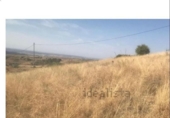 Sòl urbà en venda a la España, El Molar, ref.: TR325375 foto