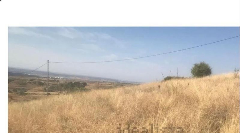 Comunidad de Madrid - El Molar - 11237m2