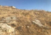 Sòl urbà en venda a la España, El Molar, ref.: TR325375 foto