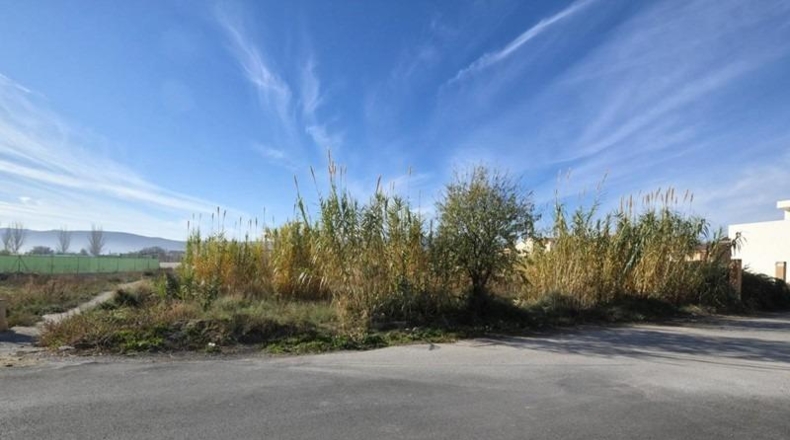 Granada - Padul - 1249m2