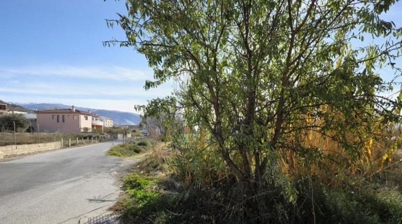 Granada - Padul - 1249m2