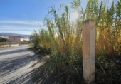Detached villa with land for sale on España, Padul, ref: TR320298 photo