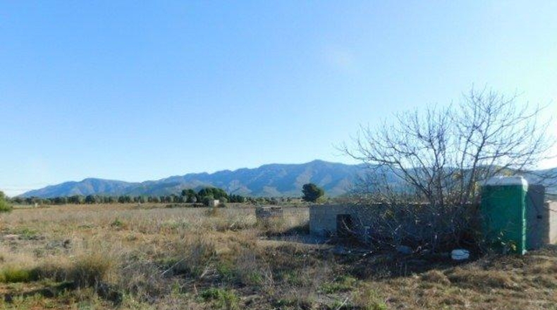 Tarragona - Ulldecona - 42954m2