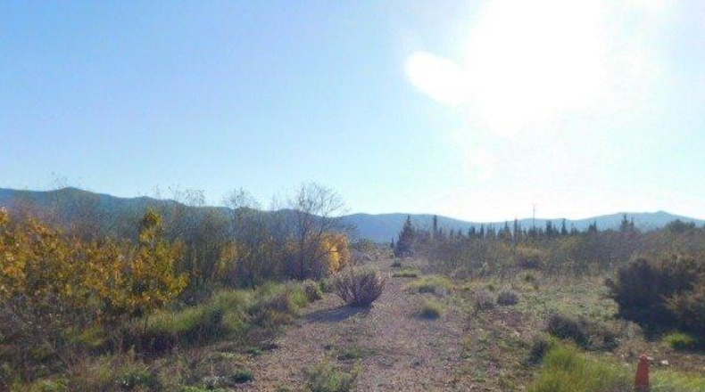 Tarragona - Ulldecona - 42954m2