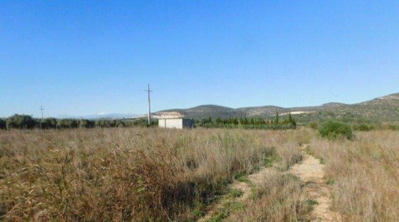 Tarragona - Ulldecona - 42954m2