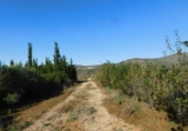 Chalet independiente con terreno en venta en la España, Ulldecona, ref: TR141560 foto