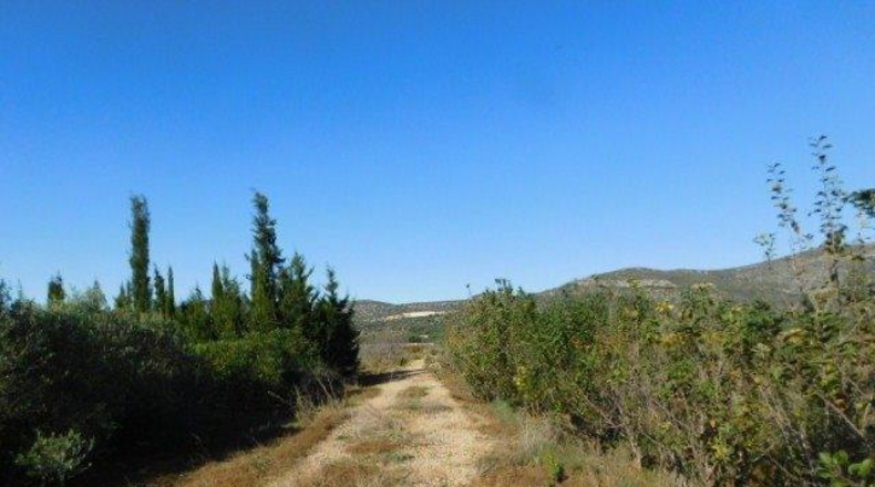 Tarragona - Ulldecona - 42954m2
