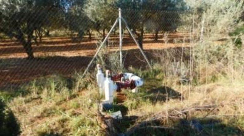 Tarragona - Ulldecona - 42954m2