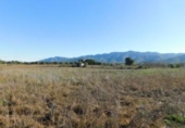 Chalet independiente con terreno en venta en la España, Ulldecona, ref: TR141560 foto