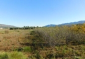 Chalet independiente con terreno en venta en la España, Ulldecona, ref: TR141560 foto