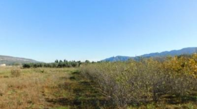 Tarragona - Ulldecona - 42954m2