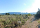 Chalet independiente con terreno en venta en la España, Ulldecona, ref: TR141560 foto