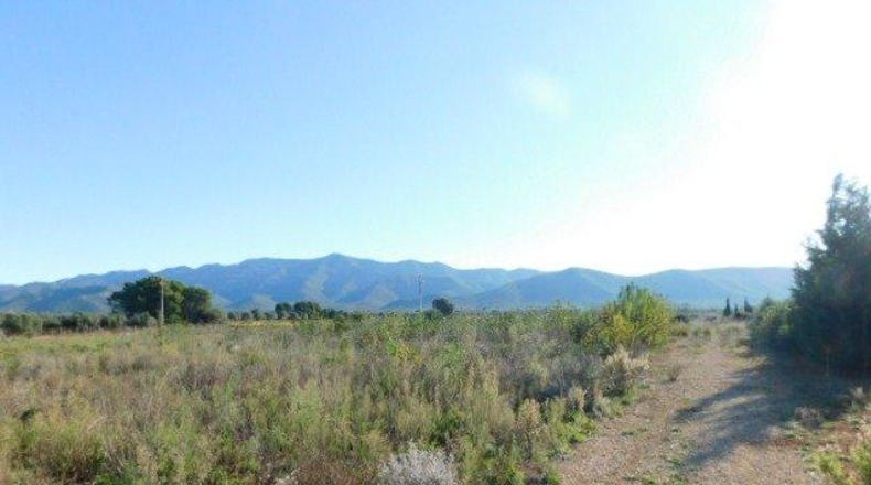 Tarragona - Ulldecona - 42954m2