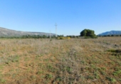 Chalet independiente con terreno en venta en la España, Ulldecona, ref: TR141560 foto