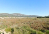 Chalet independiente con terreno en venta en la España, Ulldecona, ref: TR141560 foto