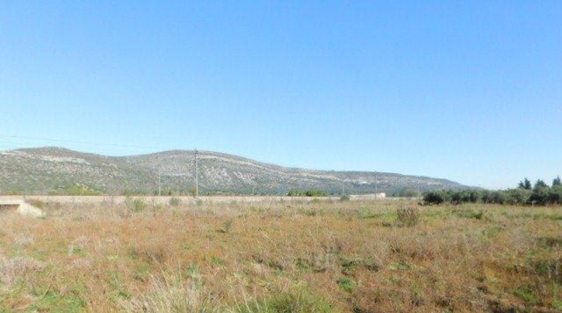 Tarragona - Ulldecona - 42954m2