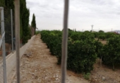 Terreny no urbanitzable en venda a la España, Múrcia, ref.: TR119621 foto
