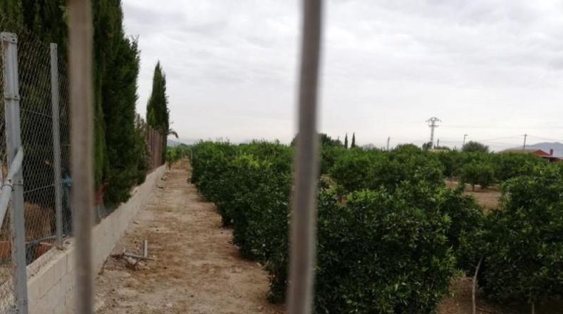 Múrcia - Murcia - 2036m2