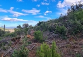 Parcel·la urbanitzable en venda a la España, Castellar del Vallès, ref.: TR125004 foto