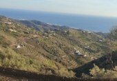 Земля на продажу у города Sayalonga Фото