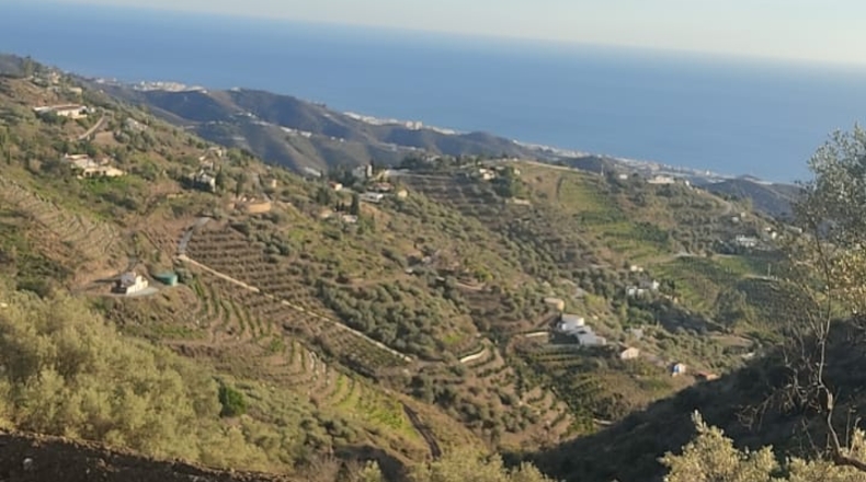 Málaga - Sayalonga - 3000m2