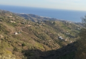 Земля на продажу у города Sayalonga Фото