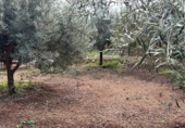 House with land for sale on España, Calafell, ref: TR301133 photo