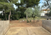 House with land for sale on España, Calafell, ref: TR301133 photo
