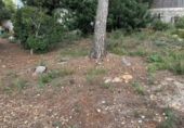 House with land for sale on España, Calafell, ref: TR301133 photo