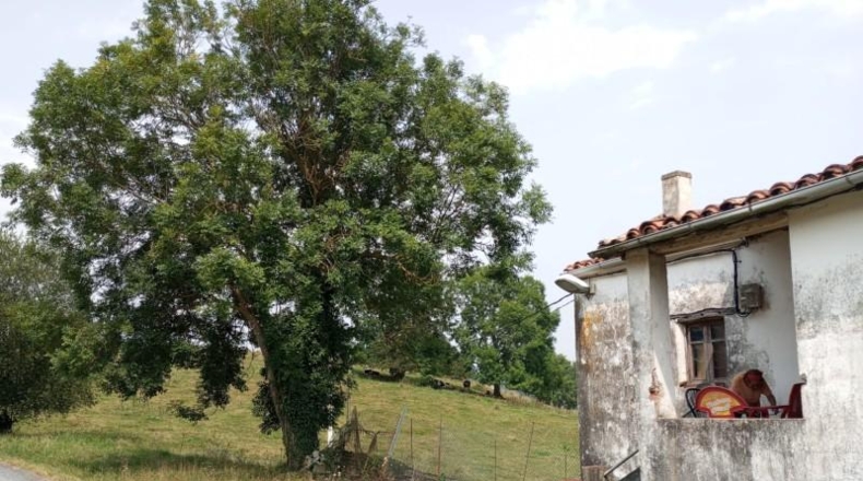 Cantabria - Hazas de Cesto - 200m2