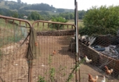 Casa de poble en venda a la España, Hazas de Cesto, ref.: TR331675 foto