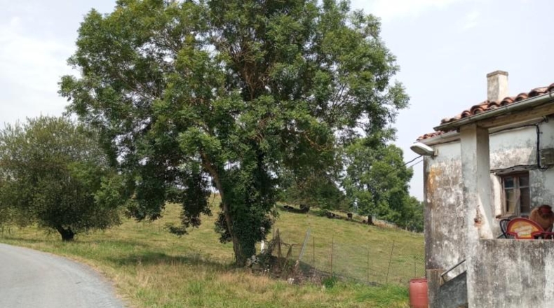Cantabria - Hazas de Cesto - 200m2