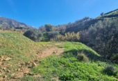 Terreny no urbanitzable en venda a la España, Mijas, ref.: TR225955 foto
