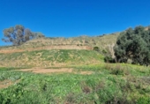 Terreny no urbanitzable en venda a la España, Mijas, ref.: TR225955 foto