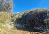 Terreny no urbanitzable en venda a la España, Mijas, ref.: TR225955 foto