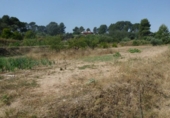 Terreno no urbanizable en venta en la España, Ontinyent, ref: TR113795 foto