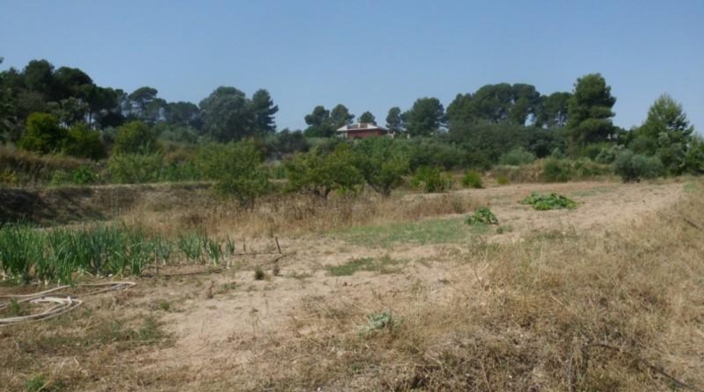 València - Onteniente - 9890m2