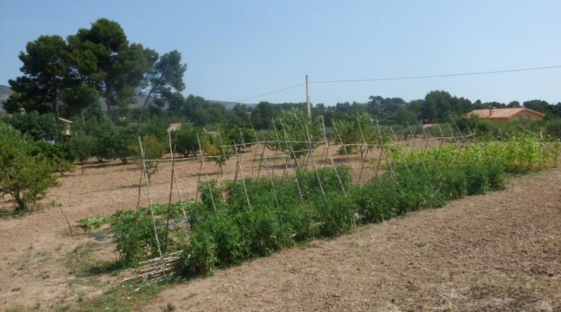 València - Onteniente - 9890m2