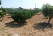 Terreno no urbanizable en venta en la España, Ontinyent, ref: TR113795 foto