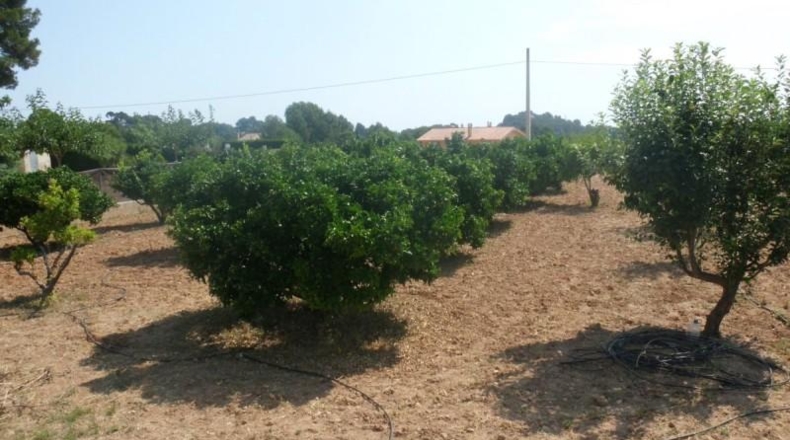 València - Onteniente - 9890m2
